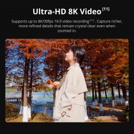 Osmo Action 6 Standard Combo