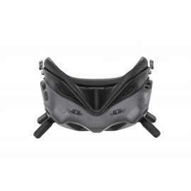 DJI FPV Goggles