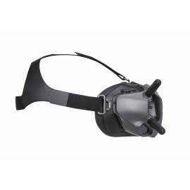 DJI FPV Goggles