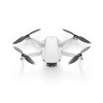 Mavic Mini